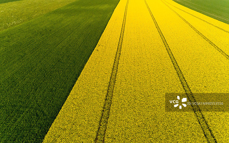 德国巴伐利亚油菜田鸟瞰图图片素材
