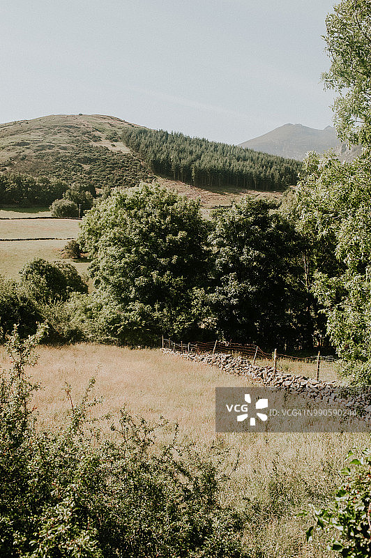 北爱尔兰唐郡穆恩山脉图片素材