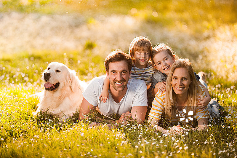 幸福的一家人和他们的金毛猎犬在春天的草地上放松图片素材