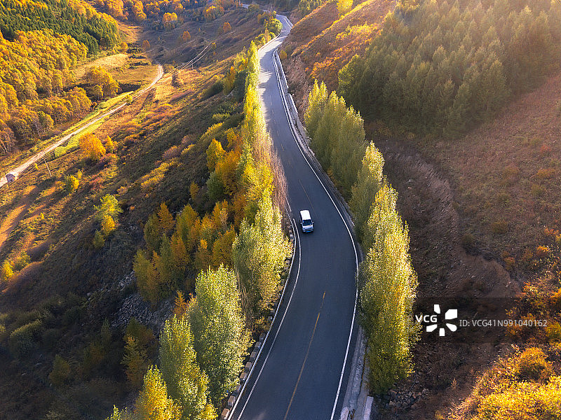 穿过秋季森林的道路图片素材