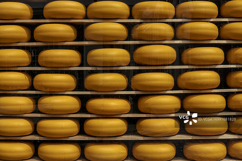 荷兰埃丹镇的黄色奶酪模具图片素材