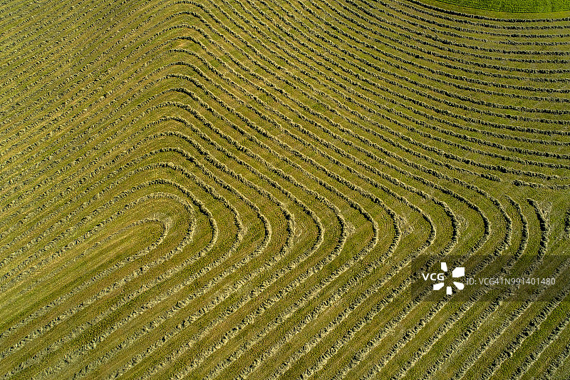 德国巴伐利亚州草地航拍图片素材