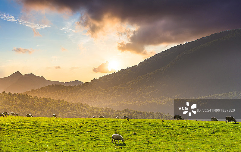 风景秀丽的马西森湖福克斯冰川镇南阿尔卑斯山山谷新西兰图片素材