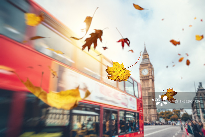 伦敦掉落的秋叶图片素材