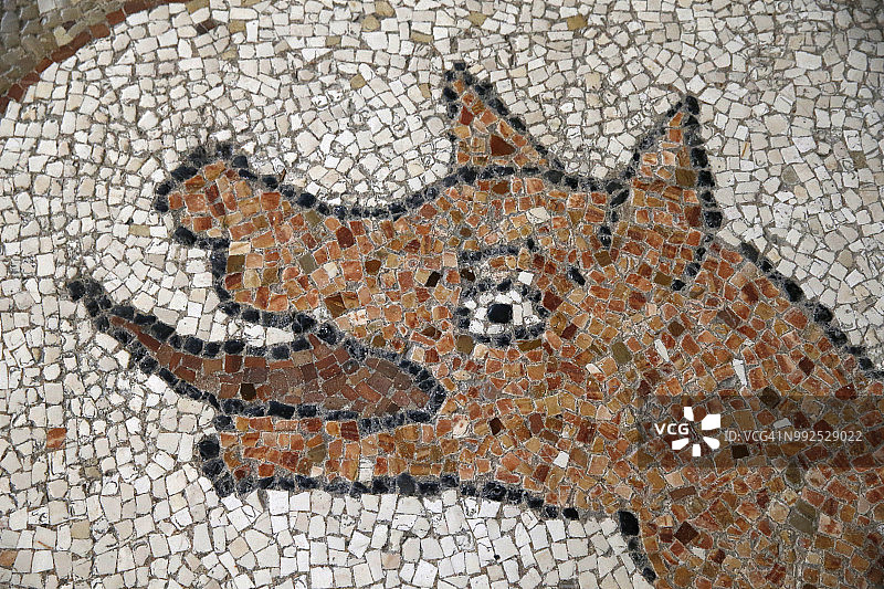 意大利奥特兰托主教座堂地板上的马赛克细节图片素材