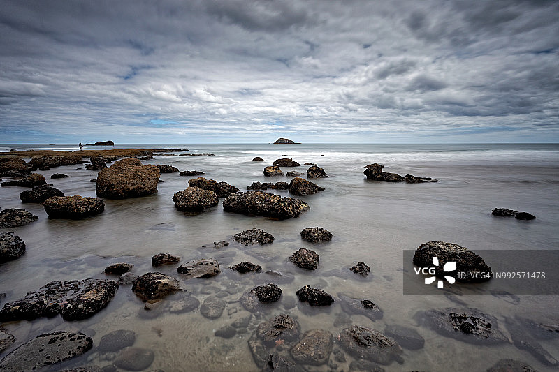 在奥克兰西部的毛利湾，退潮时岩石上的渔夫图片素材