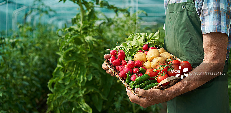 农民拿着一篮子蔬菜图片素材