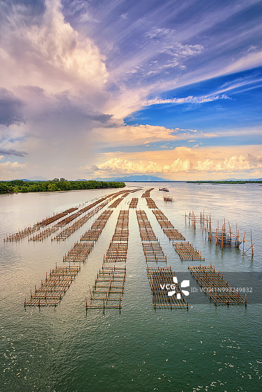 泰国尖竹汶府河流中的养鱼业水产养殖图片素材
