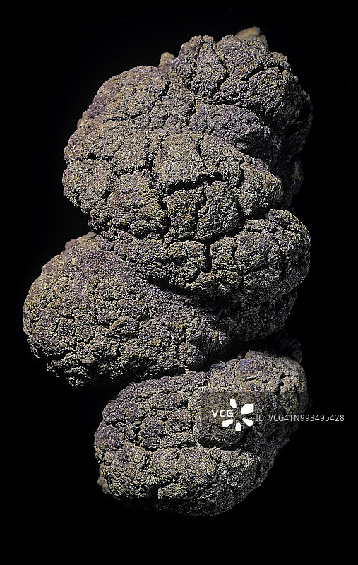 粪化石图片素材