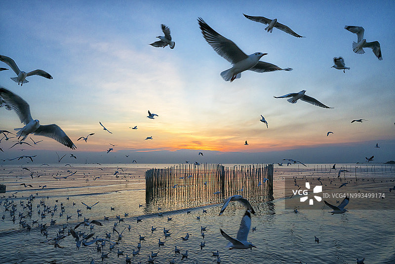 爆炸声图片素材