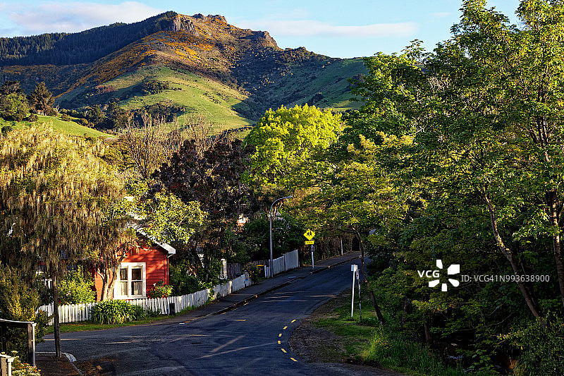 阿卡罗阿的傍晚，绿树成荫的街道通往阳光照耀的山脉图片素材