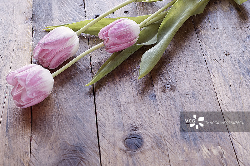 木质背景上的三朵郁金香花特写，局部焦点图片素材