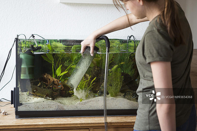 少女用虹吸泵清洁家用鱼缸中的沙子图片素材