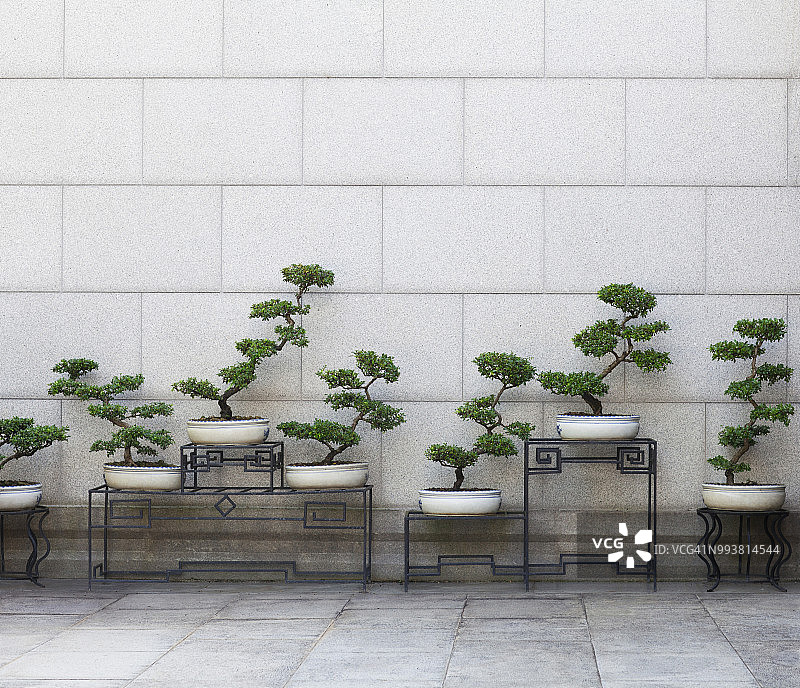 中式古典风格盆栽植物图片素材