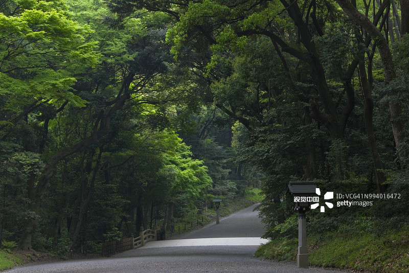 东京明治神宫：石灯笼与砂石路图片素材