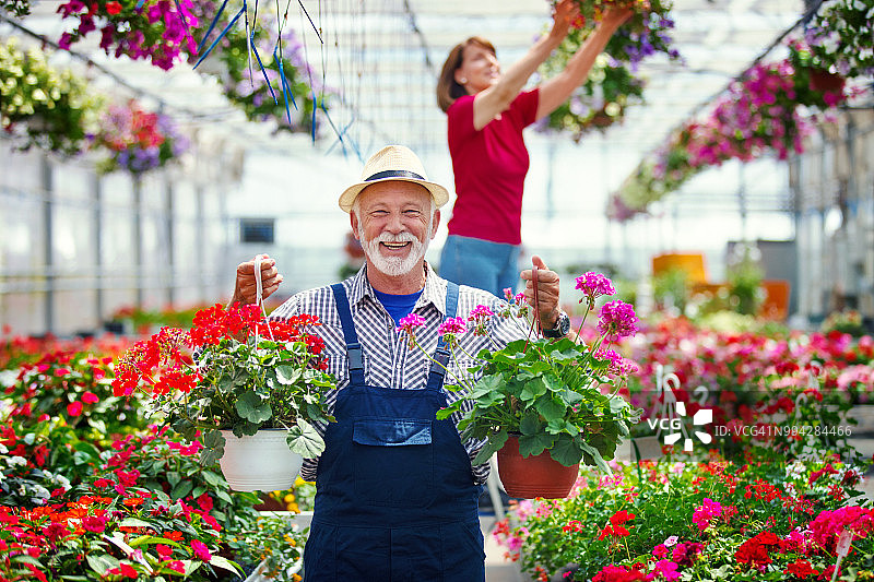 温室花店图片素材