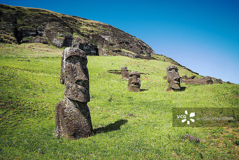 复活节岛拉帕努伊火山采石场石像图片素材