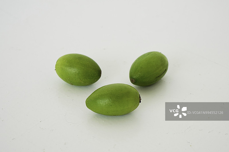 摩洛哥阿甘树坚果图片素材