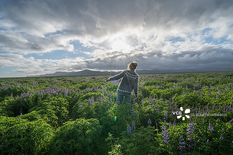 年轻女子在日落时分的花田中漫步图片素材
