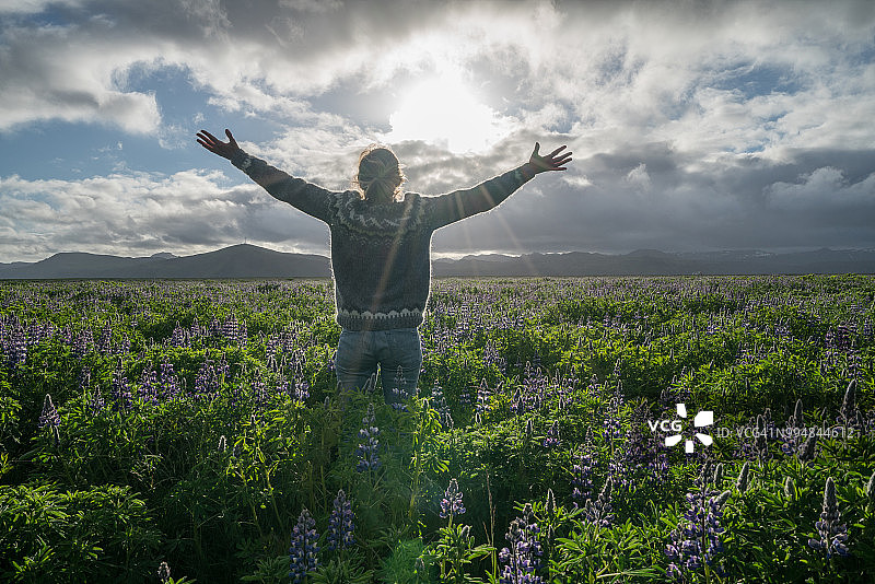 年轻女人在春日夕阳下的花田中伸展双臂，拥抱自由图片素材