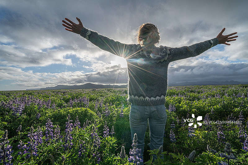年轻女人在春日夕阳下的花田中伸展双臂，拥抱自由图片素材