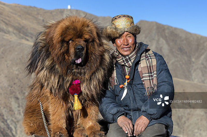 藏族牧羊人和他的藏獒图片素材