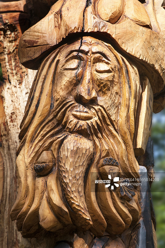 树桩上雕刻的巫师木雕图片素材