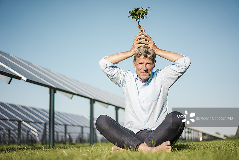 头戴灌木的中年男人在太阳能发电厂图片素材