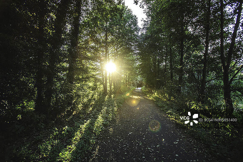 诺曼底奥斯莫伊-圣瓦莱里附近的绿色大道日落景色，法国图片素材