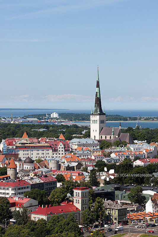 爱沙尼亚夏日塔林老城图片素材