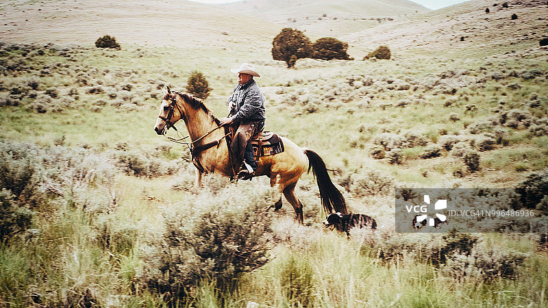 犹他州牧场主和马图片素材
