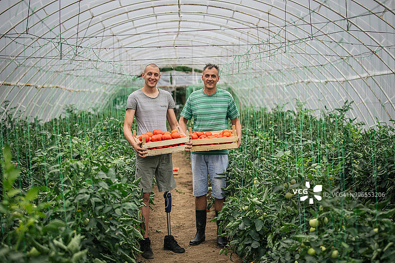 蔬菜农场一景图片素材