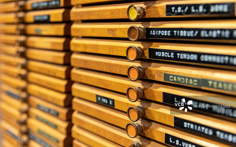 实验室内的木制柜子，带有显微镜载玻片的标签，抽屉和标签的特写角度视图，彩色木制圆形把手图片素材