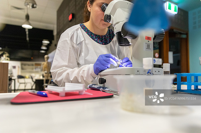 女科学家在显微镜下分析样本图片素材