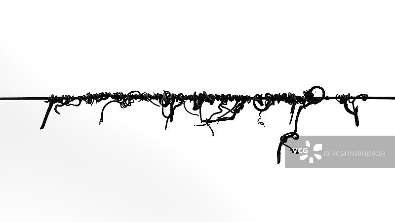 缠绕在电线上的葡萄藤蔓的弯曲形状（法国科尔马）图片素材