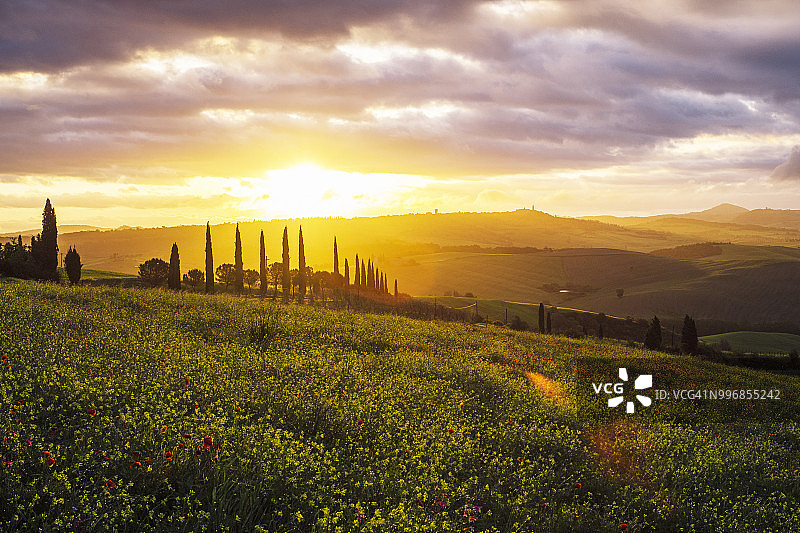 托斯卡纳滚动景观图片素材