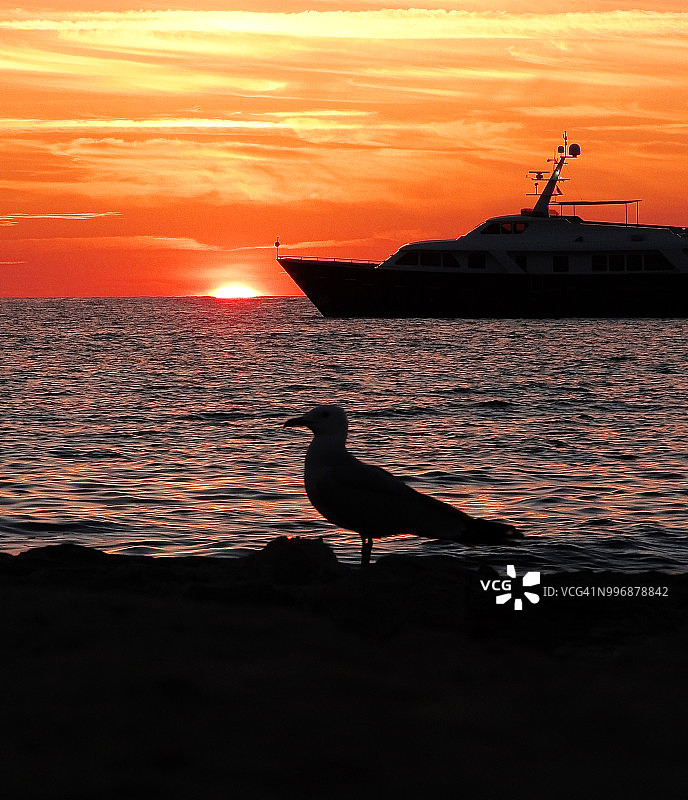 我们，在一起。图片素材