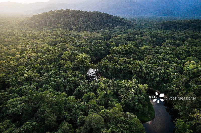 巴西大西洋森林保护区图片素材