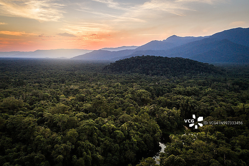 巴西大西洋森林保护区图片素材