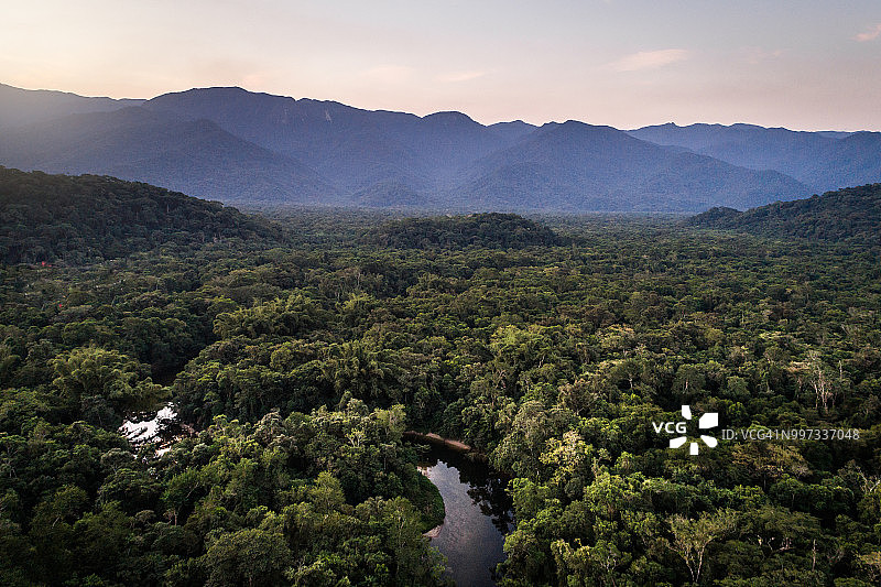 巴西大西洋森林保护区图片素材