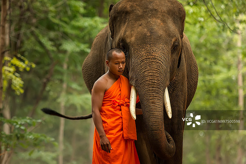 森林中与大象同行的僧侣图片素材
