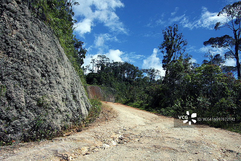 苏门答腊热带雨林公路图片素材