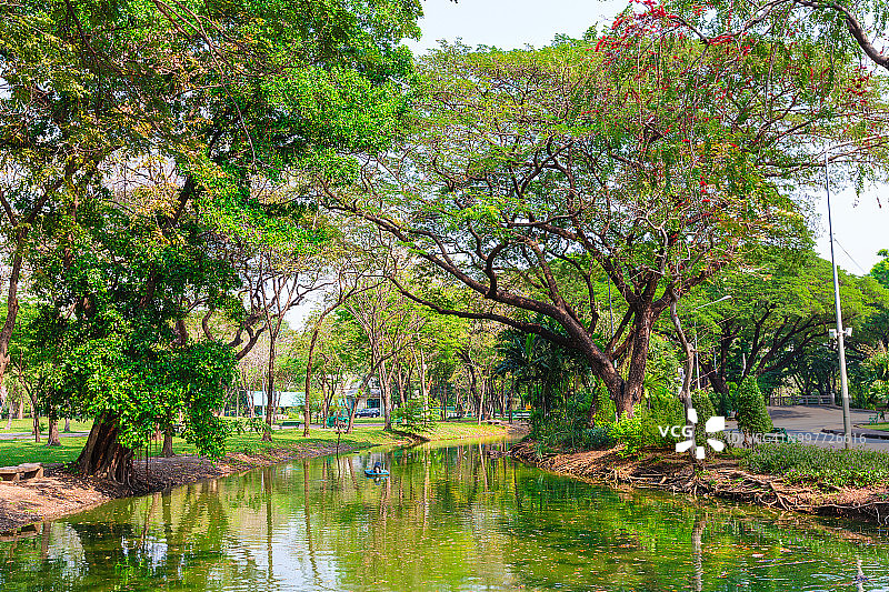 曼谷伦披尼公园的池塘绿色景观图片素材