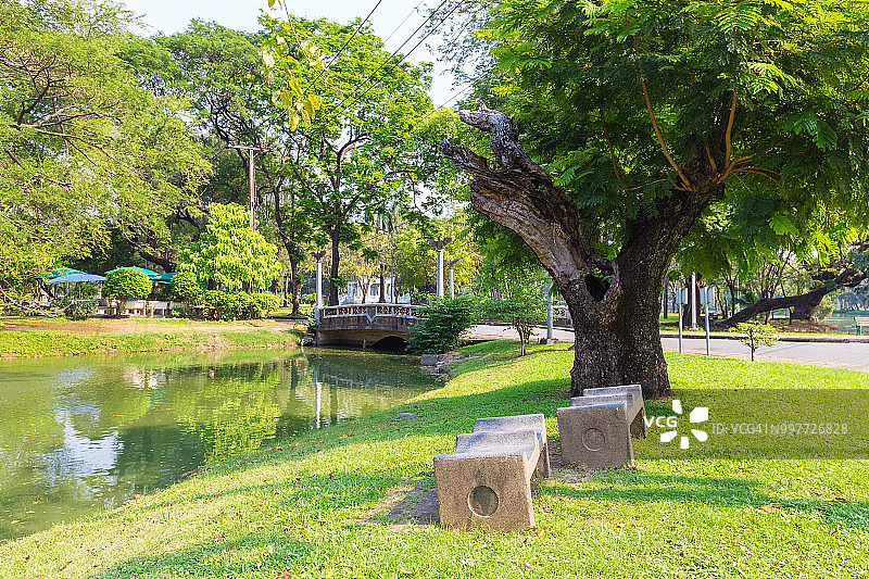曼谷伦披尼公园的池塘绿色景观图片素材