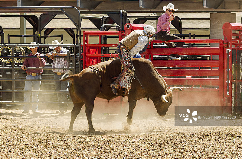 牛仔在盐湖城内夫参加野牛骑行比赛图片素材