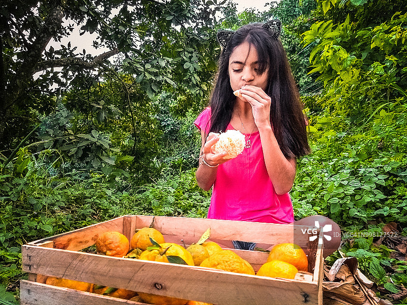 小女孩吃一盒橙子图片素材