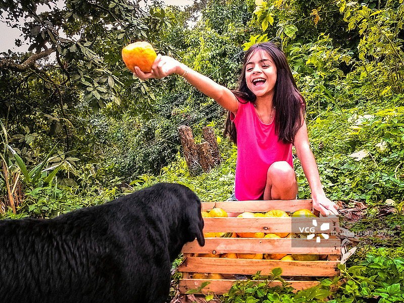 抱着一箱橘子和她的狗的年轻女孩图片素材