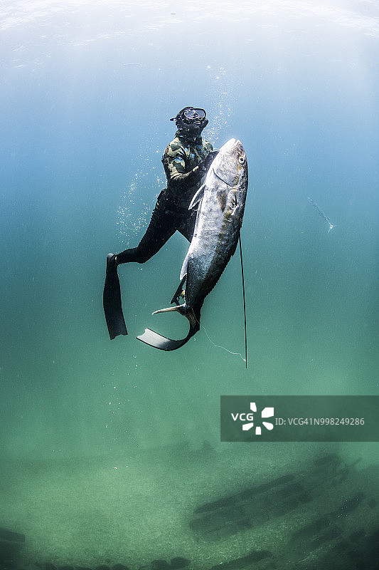 墨西哥女人岛，鱼叉捕鱼人带着渔获浮出水面图片素材