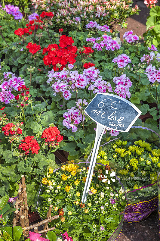 法国诺曼底巴约市场上的新鲜花卉图片素材