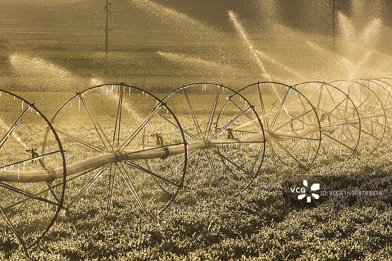 美国犹他州寒冷清晨的田野灌溉图片素材